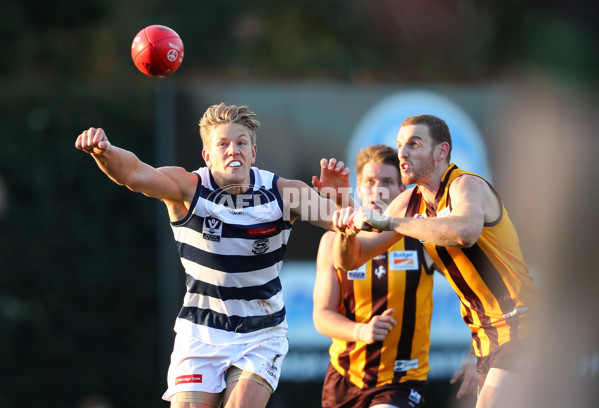 VFL 2017 Round 16 - Box Hill v Geelong - 538201