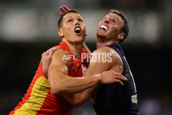 AFL 2017 Round 20 - Fremantle v Gold Coast - 538292