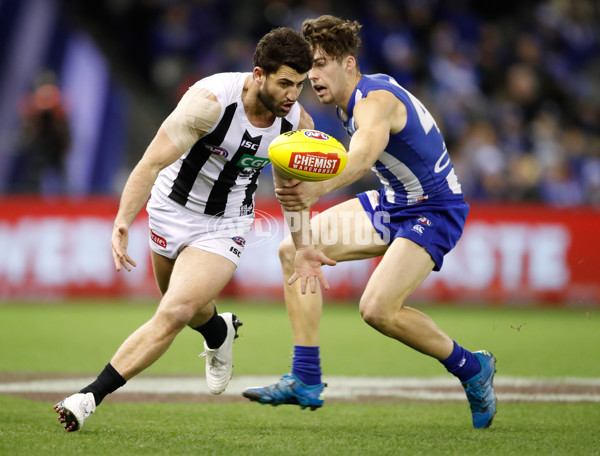 AFL 2017 Round 20 - North Melbourne v Collingwood - 538360