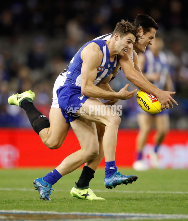 AFL 2017 Round 20 - North Melbourne v Collingwood - 538361