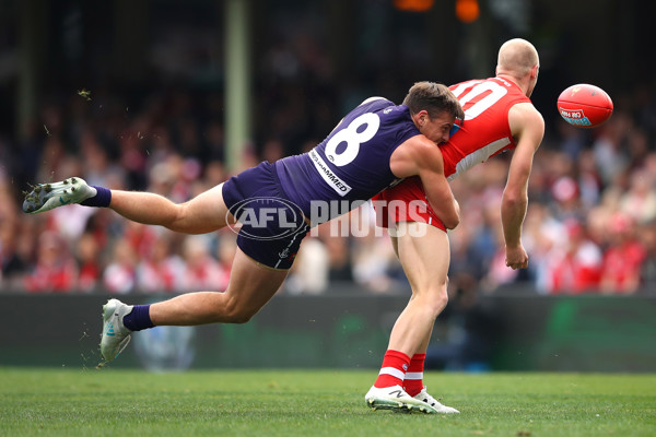 AFL 2017 Round 21 - Sydney v Fremantle - 539852