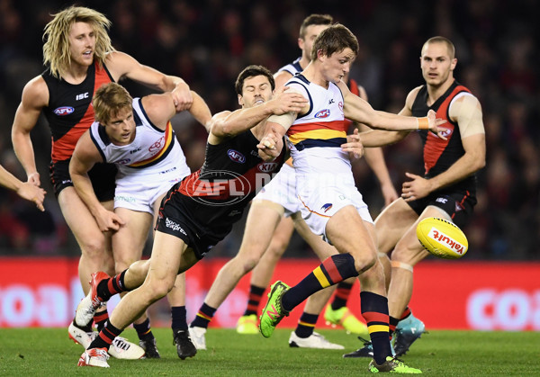 AFL 2017 Round 21 - Essendon v Adelaide - 540385