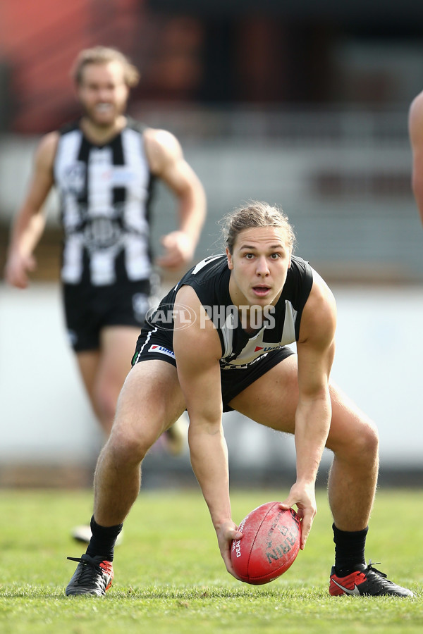 VFL 2017 Round 17 - Collingwood v North Ballarat - 540883