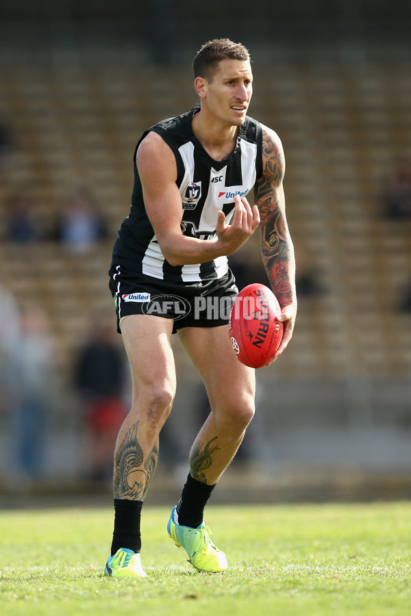 VFL 2017 Round 17 - Collingwood v North Ballarat - 540888