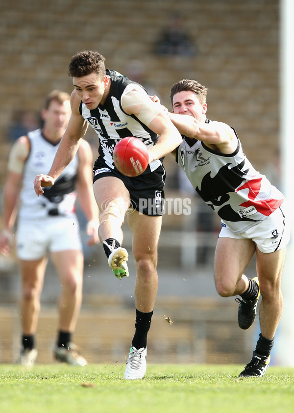 VFL 2017 Round 17 - Collingwood v North Ballarat - 540896