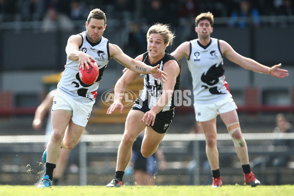 VFL 2017 Round 17 - Collingwood v North Ballarat - 540983