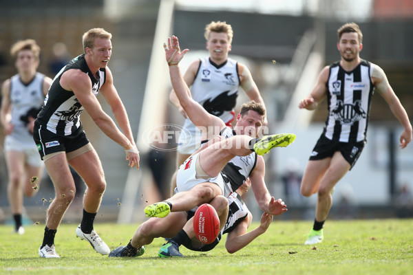 VFL 2017 Round 17 - Collingwood v North Ballarat - 540986