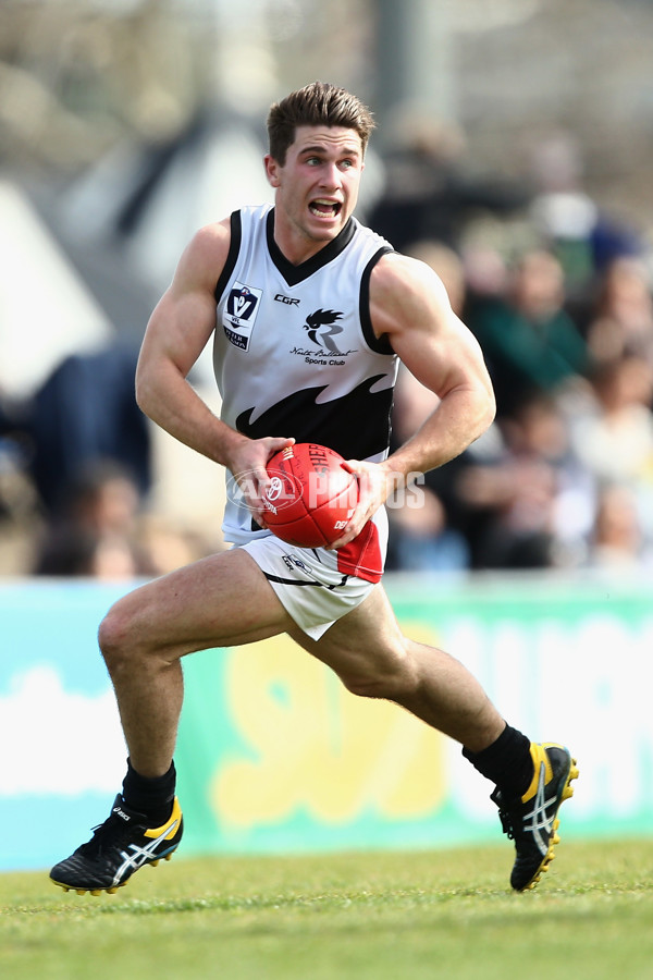 VFL 2017 Round 17 - Collingwood v North Ballarat - 540998