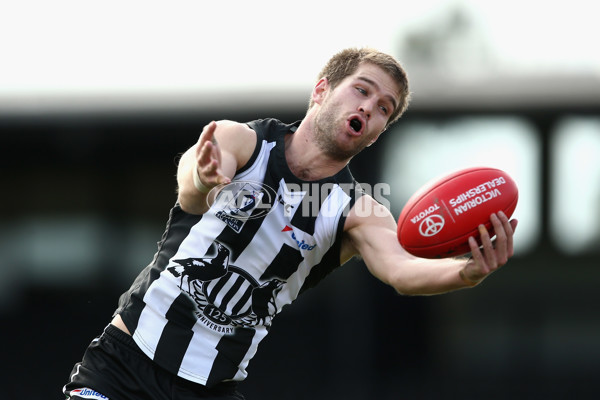 VFL 2017 Round 17 - Collingwood v North Ballarat - 541012