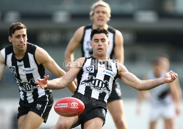 VFL 2017 Round 17 - Collingwood v North Ballarat - 540884