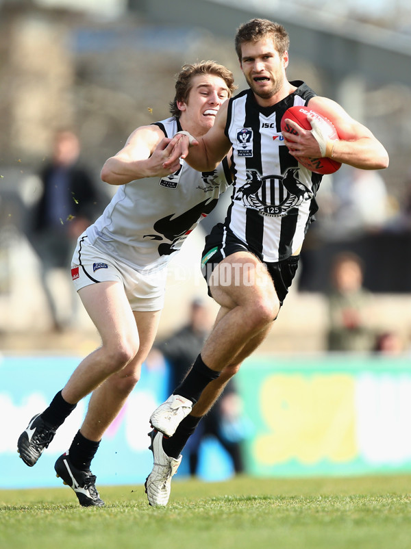 VFL 2017 Round 17 - Collingwood v North Ballarat - 540900