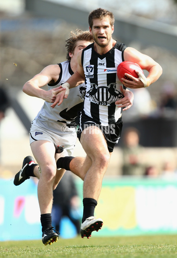 VFL 2017 Round 17 - Collingwood v North Ballarat - 540901