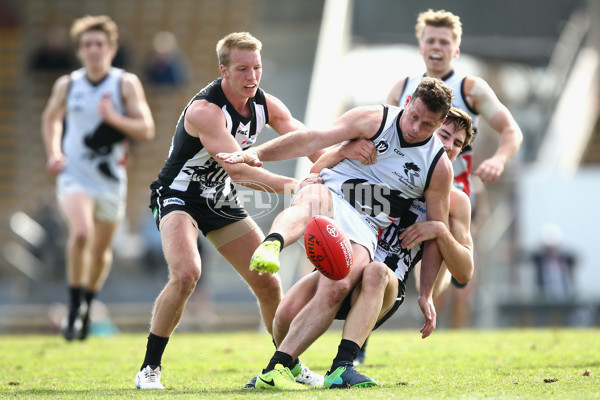 VFL 2017 Round 17 - Collingwood v North Ballarat - 540988