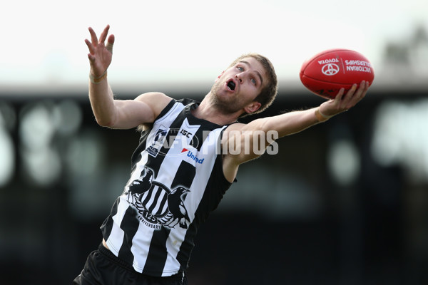 VFL 2017 Round 17 - Collingwood v North Ballarat - 541011