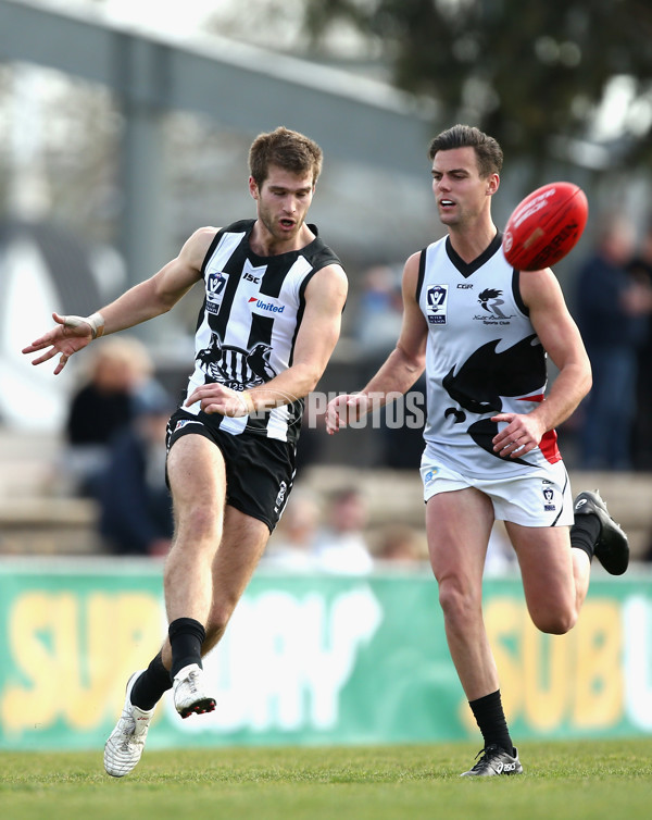 VFL 2017 Round 17 - Collingwood v North Ballarat - 541010