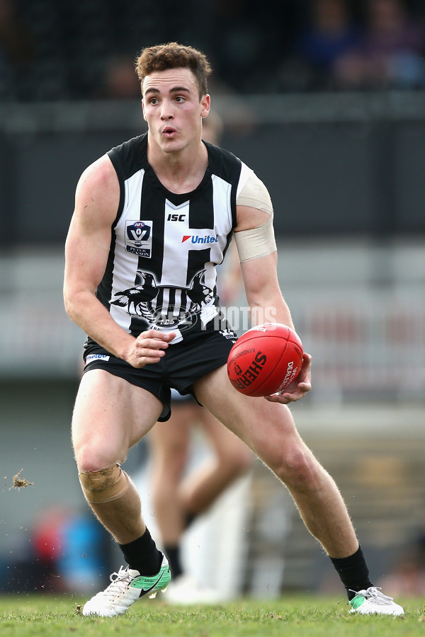 VFL 2017 Round 17 - Collingwood v North Ballarat - 541027