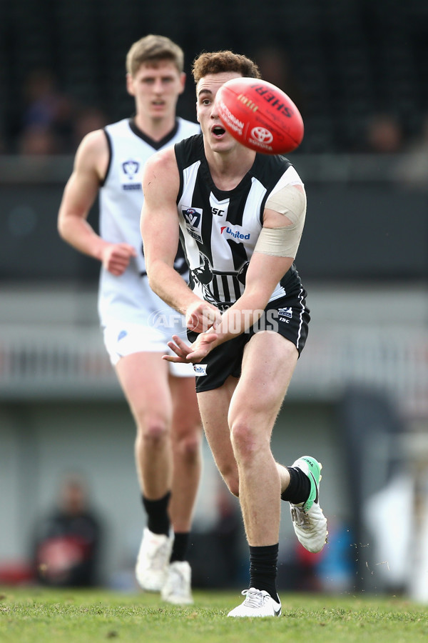 VFL 2017 Round 17 - Collingwood v North Ballarat - 541029