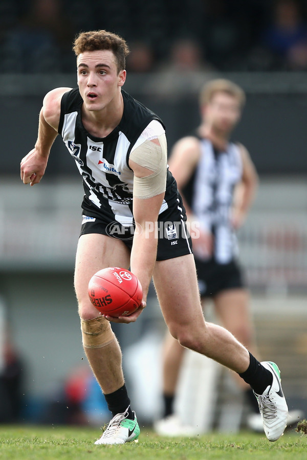 VFL 2017 Round 17 - Collingwood v North Ballarat - 541028