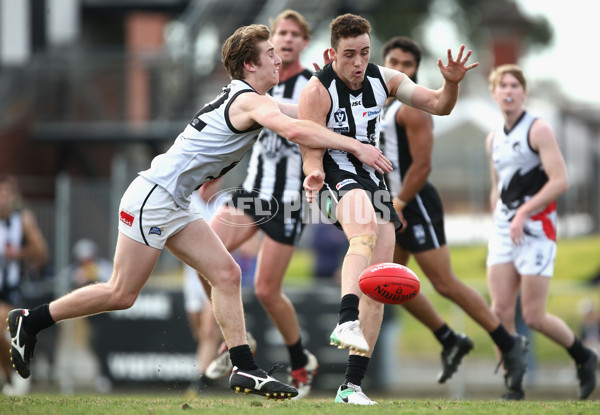 VFL 2017 Round 17 - Collingwood v North Ballarat - 541026