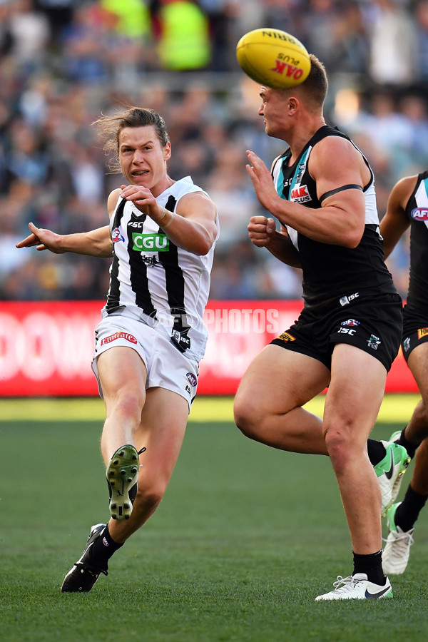 AFL 2017 Round 21 - Port Adelaide v Collingwood - 541217