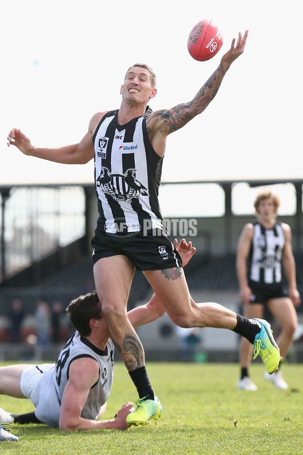 VFL 2017 Round 17 - Collingwood v North Ballarat - 541410