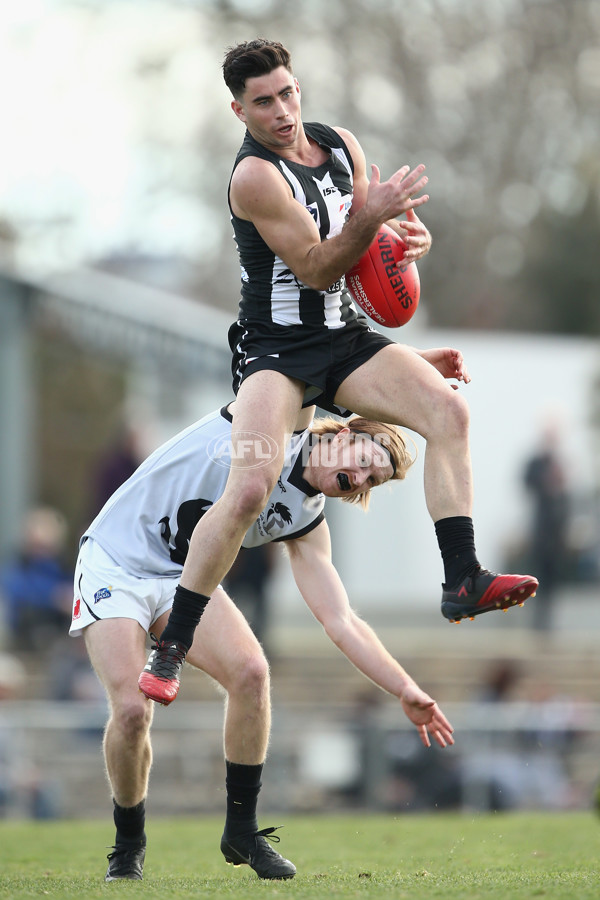 VFL 2017 Round 17 - Collingwood v North Ballarat - 541422