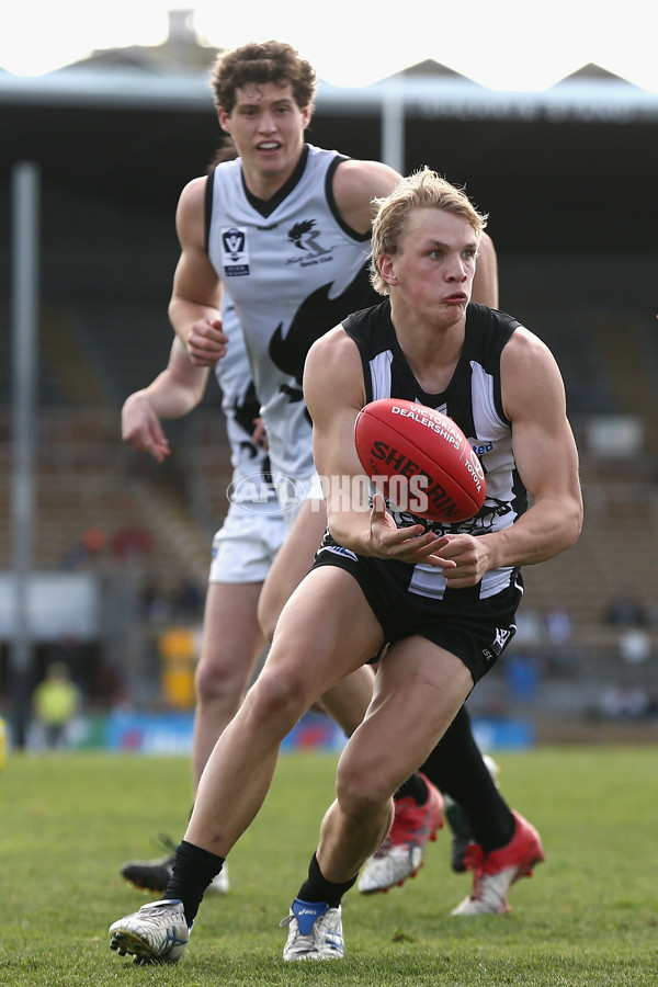 VFL 2017 Round 17 - Collingwood v North Ballarat - 541416