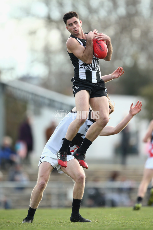 VFL 2017 Round 17 - Collingwood v North Ballarat - 541419