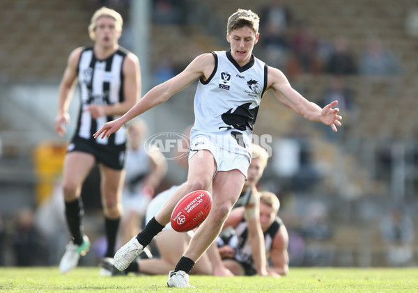 VFL 2017 Round 17 - Collingwood v North Ballarat - 541423