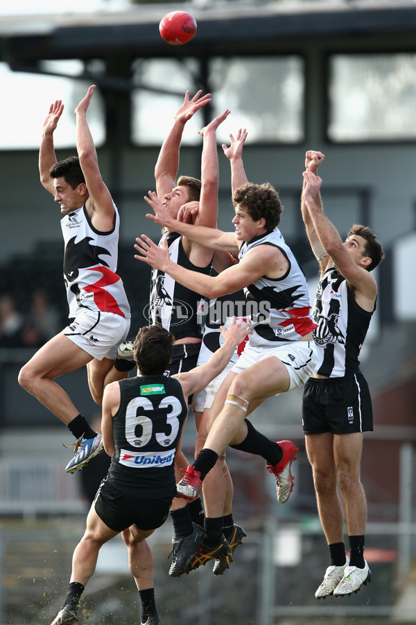 VFL 2017 Round 17 - Collingwood v North Ballarat - 541427