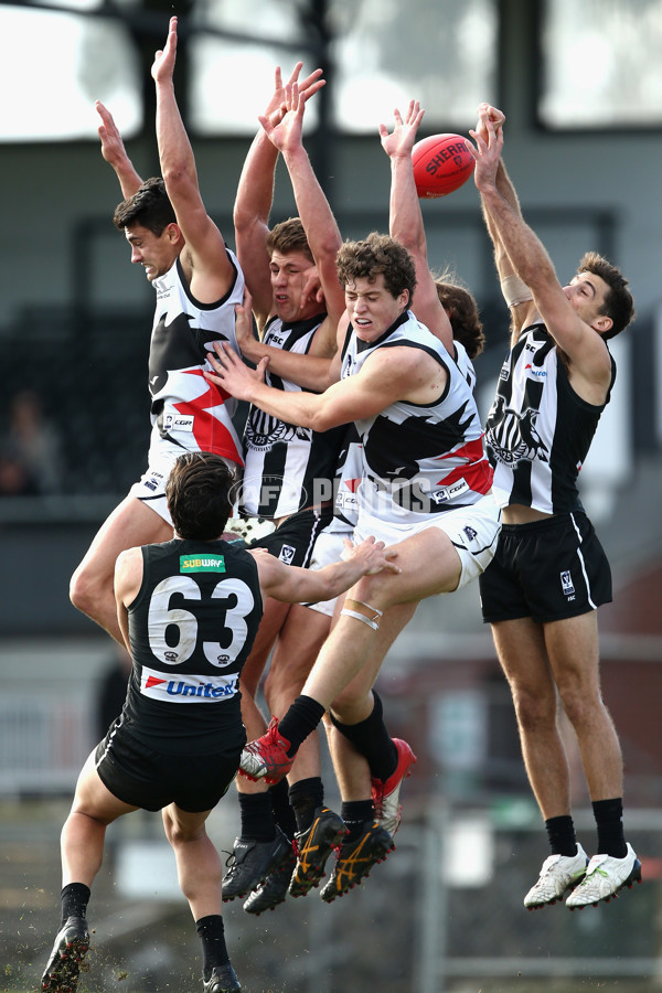 VFL 2017 Round 17 - Collingwood v North Ballarat - 541428