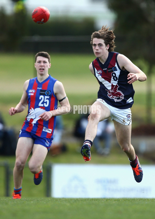 TAC Cup 2017 Round 15 - Oakleigh v Sandringham - 543089