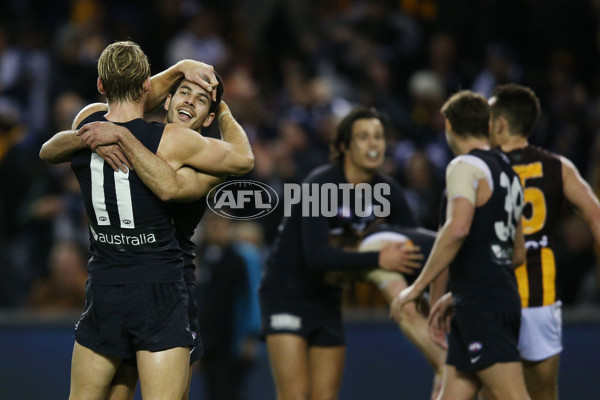 AFL 2017 Round 22 - Carlton v Hawthorn - 543106