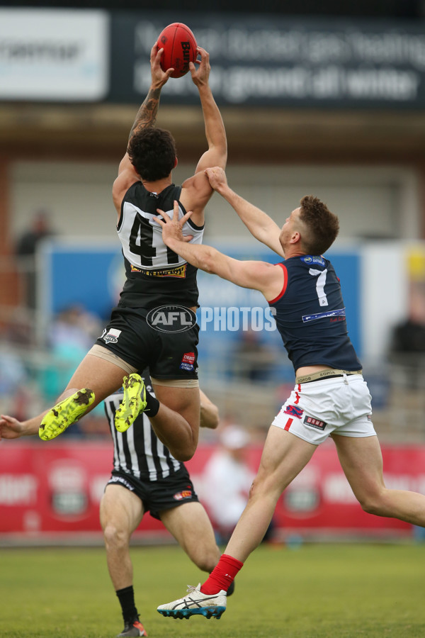 SANFL 2017 Round 17 - Port Adelaide v Norwood - 543377