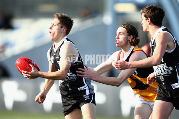 TAC Cup 2017 Round 16 - GWV v Dandenong - 543387