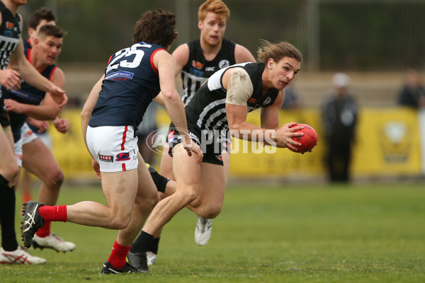 SANFL 2017 Round 17 - Port Adelaide v Norwood - 543378