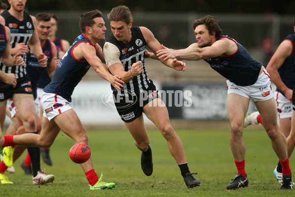 SANFL 2017 Round 17 - Port Adelaide v Norwood - 543386