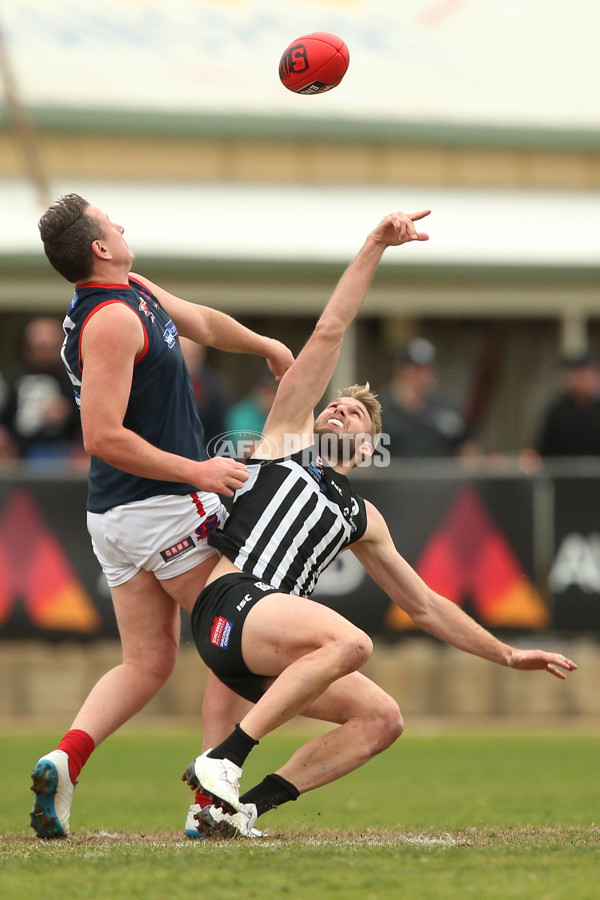 SANFL 2017 Round 17 - Port Adelaide v Norwood - 543335