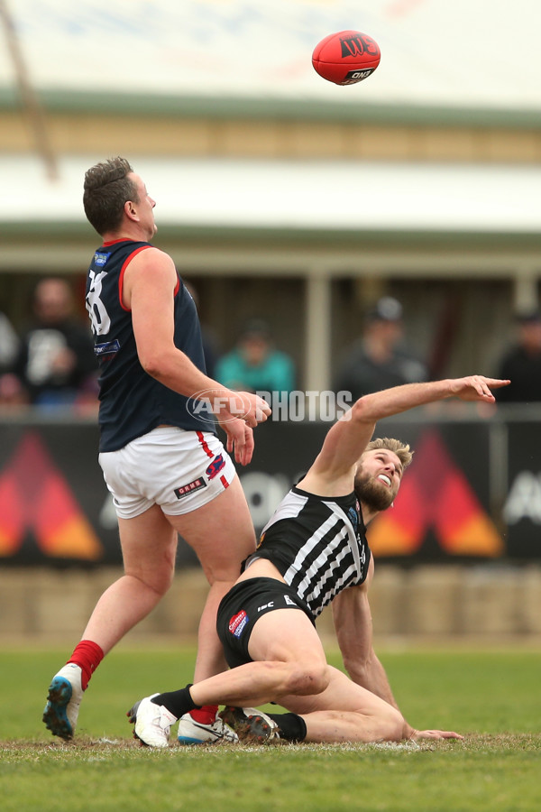 SANFL 2017 Round 17 - Port Adelaide v Norwood - 543334