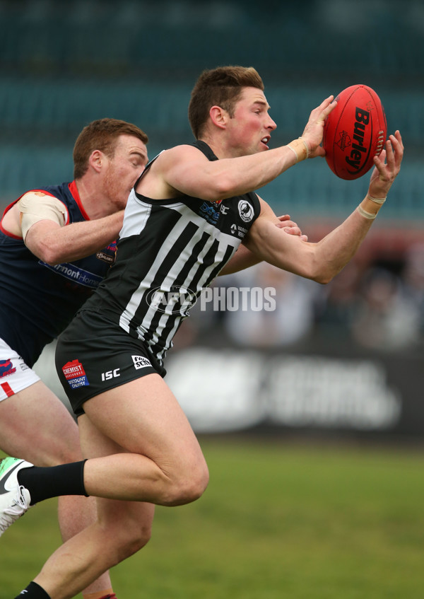 SANFL 2017 Round 17 - Port Adelaide v Norwood - 543392