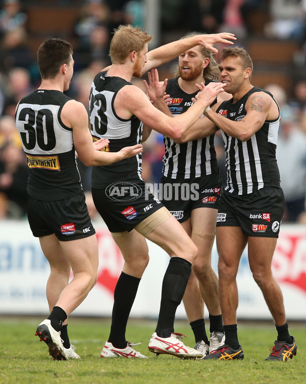 SANFL 2017 Round 17 - Port Adelaide v Norwood - 543415