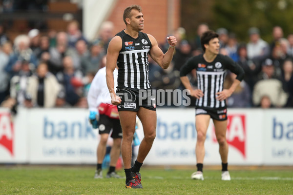 SANFL 2017 Round 17 - Port Adelaide v Norwood - 543411