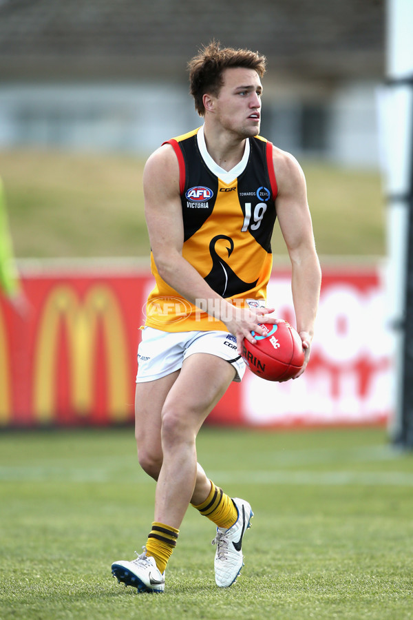 TAC Cup 2017 Round 16 - GWV v Dandenong - 543426