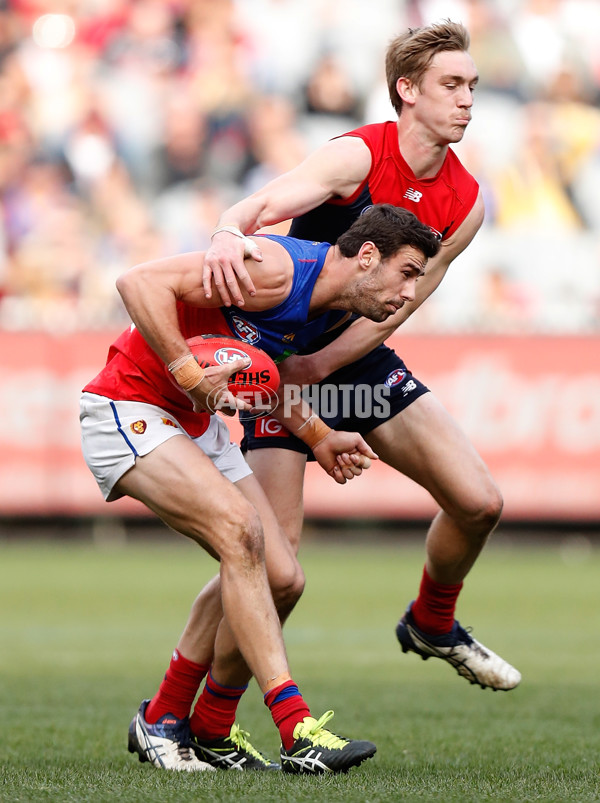 AFL 2017 Round 22 - Melbourne v Brisbane - 543466