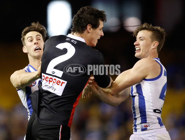 AFL 2017 Round 22 - St Kilda v North Melbourne - 543485