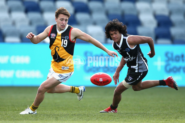 TAC Cup 2017 Round 16 - GWV v Dandenong - 543433