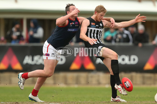 SANFL 2017 Round 17 - Port Adelaide v Norwood - 543444