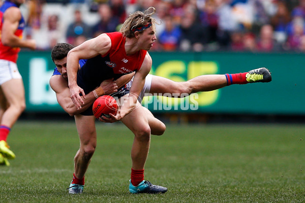 AFL 2017 Round 22 - Melbourne v Brisbane - 543527