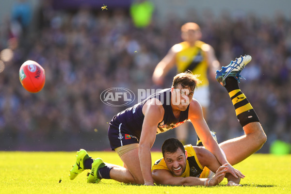 AFL 2017 Round 22 - Fremantle v Richmond - 543633