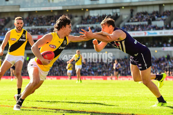 AFL 2017 Round 22 - Fremantle v Richmond - 543693